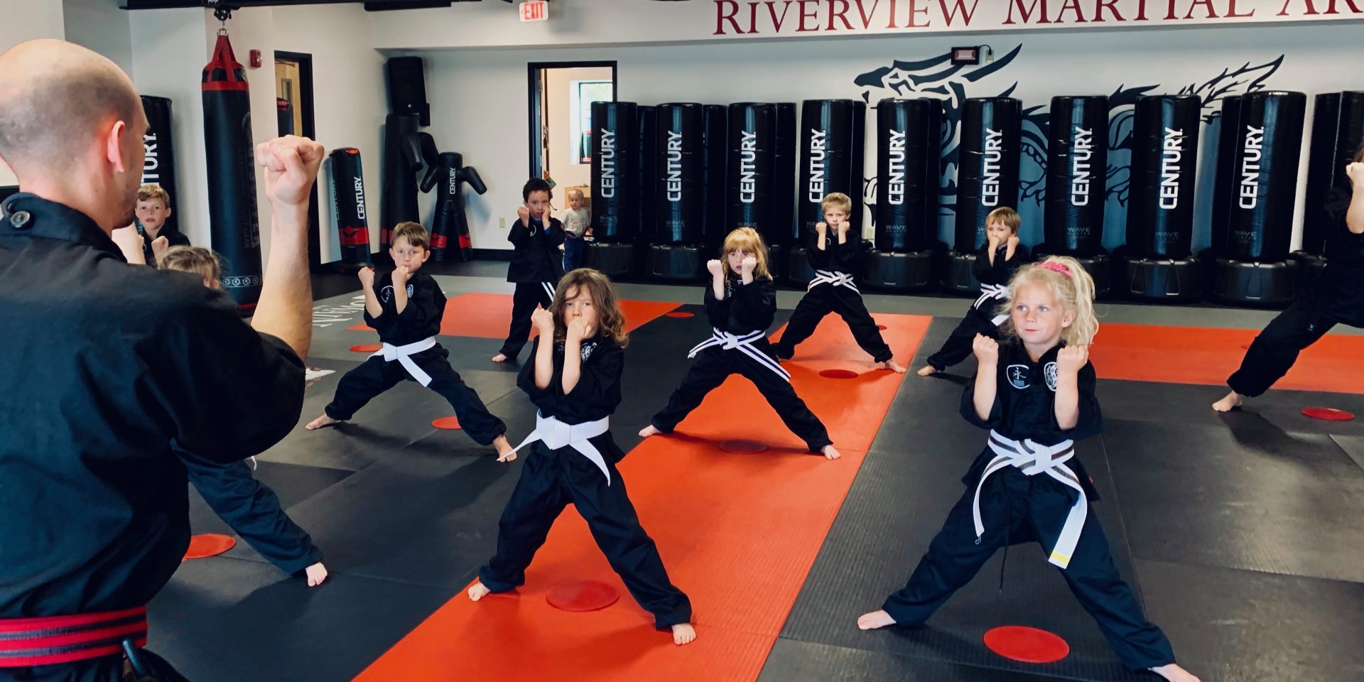 Traditional Martial Arts